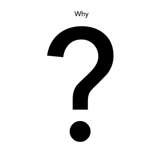 Why Question